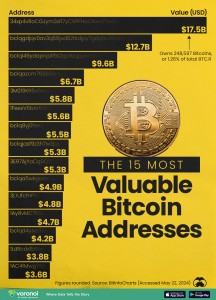 Most_Valuable_Bitcoin_Wallets_Website_05292024